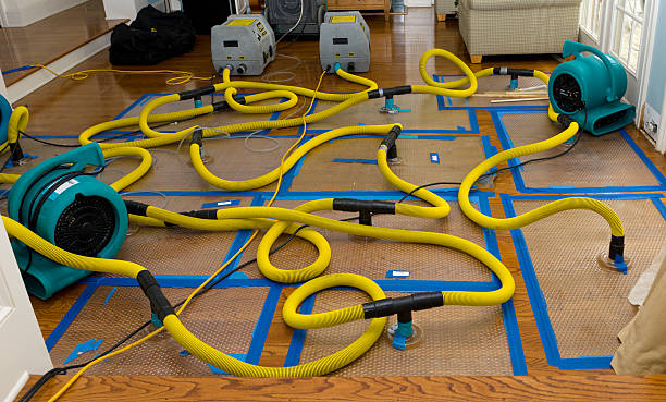 Professional Water Damage Repair technician working in South Lebanon, OH